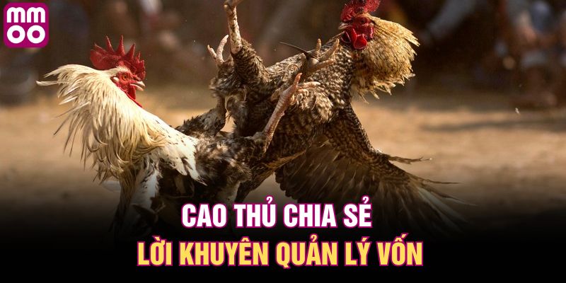 Cao thủ chia sẻ lời khuyên quản lý vốn