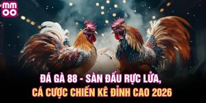 đá gà 88