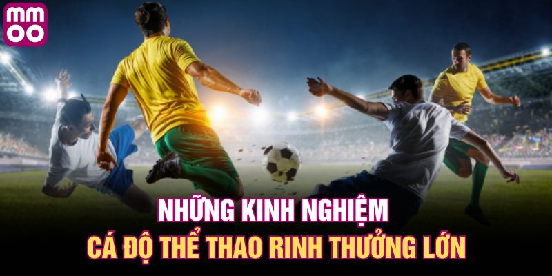 Những kinh nghiệm cá độ thể thao rinh thưởng lớn