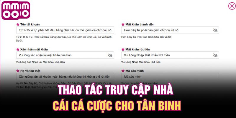 Thao tác truy cập nhà cái cá cược cho tân binh