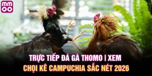 Trực tiếp đá gà Thomo